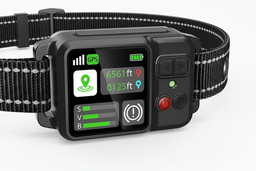 Collier Anti-Fugue avec Suivi GPS pour Chien – Companix